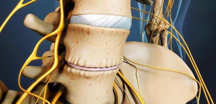 По утрам болит спина в области поясницы справа