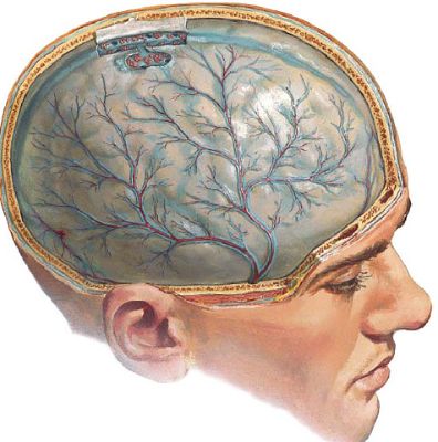 Болит спина и невысокая температура что это такое