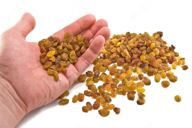 От касторки болит голова